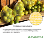 Saco para Laranja 8 Kilos Emablagem com 100 UND